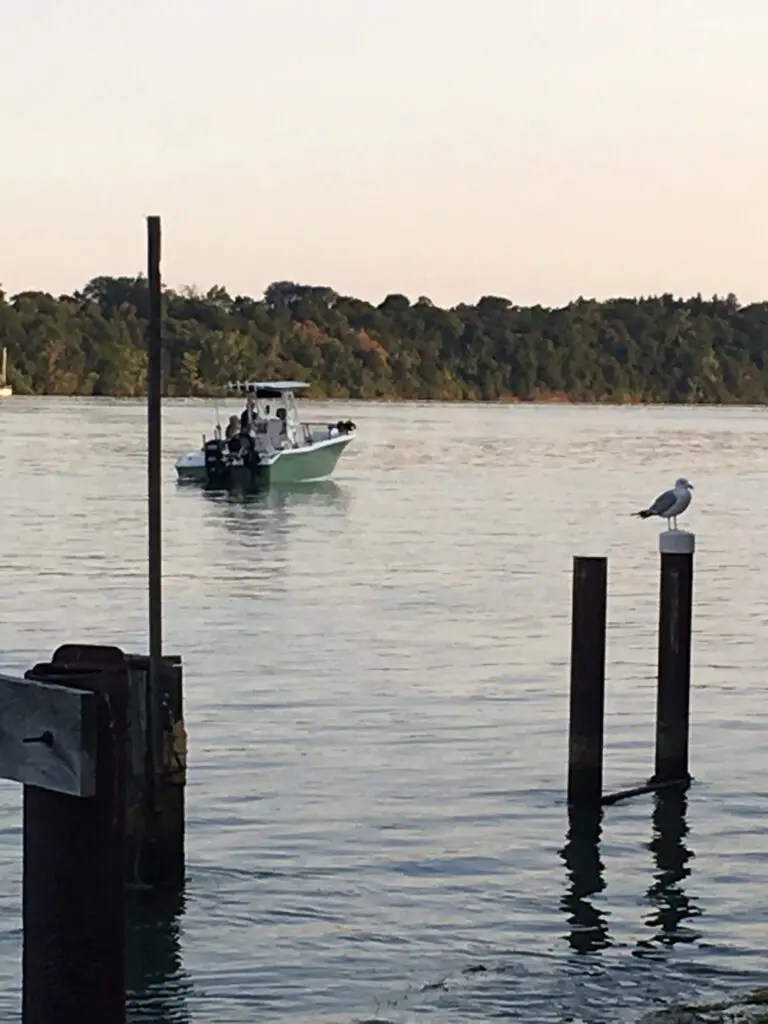 Fishing derby with boat out on the water