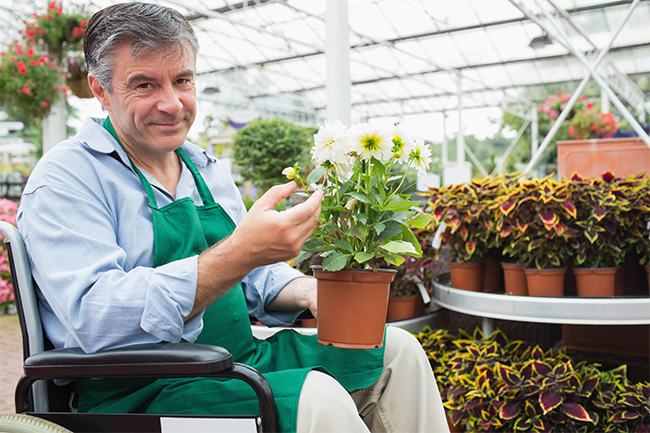 Man in wheelchair with potted plants